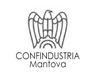 CONFINDUSTRIA MANTOVA