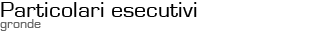 Particolari esecutivi - Gronde